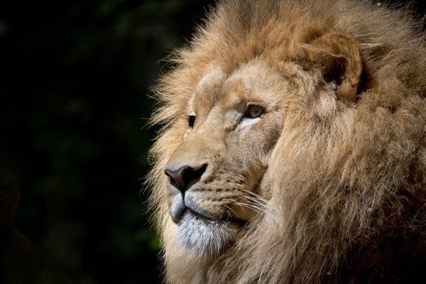 Londonzoo1